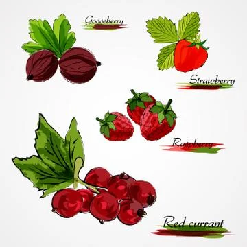Set of fruits Stock Illustration