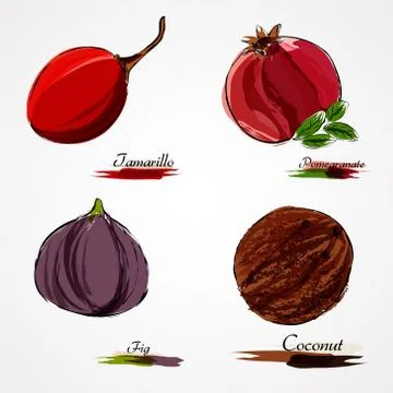 Set of fruits Stock Illustration