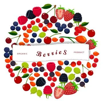 The set fruits Illustrazione stock