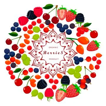 The set fruits 스톡 일러스트