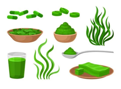 Set of funds from algae. Vector illustration on white background. Illustrazione stock