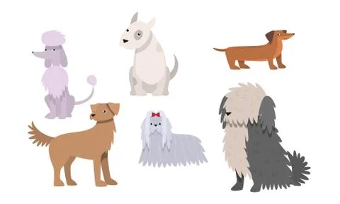 Set of funny big and small dogs breeds vector illustration Stock Illustration