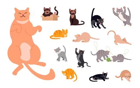 Set of funny cats in flat design. Variety breeds cats in different poses sitt Stock Illustration