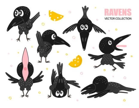 Set of funny crows in different poses. Black raven with cheese. Vector Stock Illustration