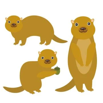 Set of funny Gopher ground squirrel isolated with acorn on white background Stock Illustration