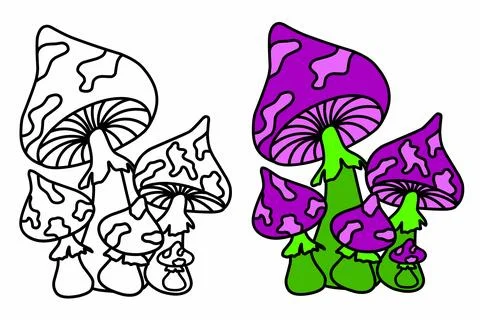 Set Funny mushroom with a doodle pattern. Coloring book for children and adul Stock Illustration