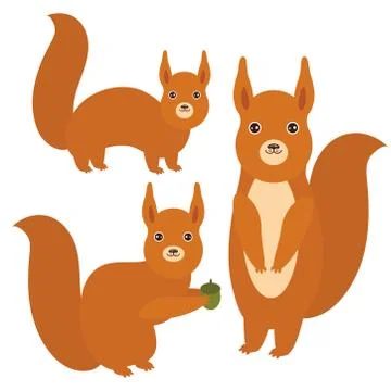 Set of funny red squirrels with fluffy tail with acorn isolated on white Stock Illustration