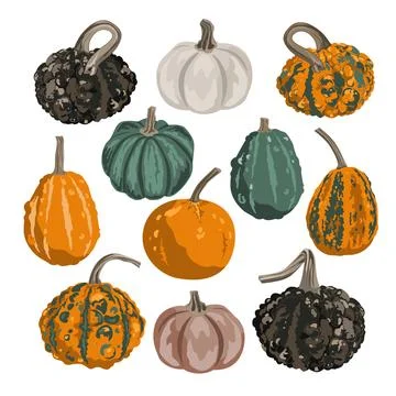 Set of funny small decorative pumpkins isolated on white. Acorn squashes an.. Stock Illustration