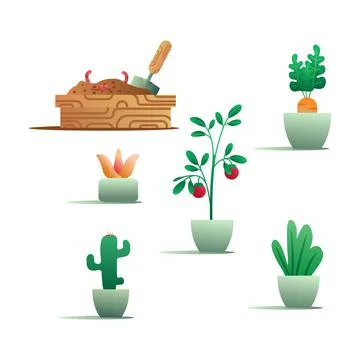 Set of garden elements with flowers, vegetables, cactus in pots Stock Illustration