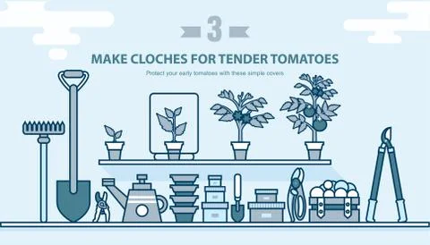 Set garden tools, seedling tomatoes on the shelf in line style Illustration