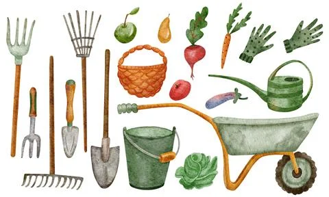 Set with gardening tools and harvest vegetables. Stock Illustration