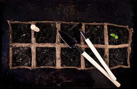 Set of gardening tools. Top view Photos