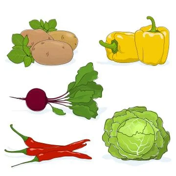 Set of Gardening Vegetables 스톡 일러스트