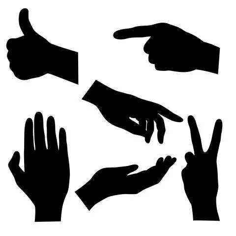 Set garlic hand silhouettes vector illustration Stock Illustration