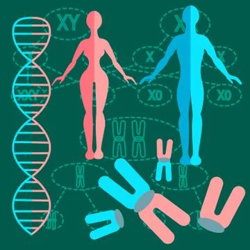 Set genetics people 스톡 일러스트