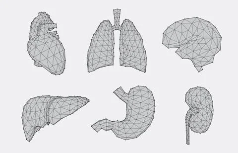 Set of geometric anatomy Stock Illustration