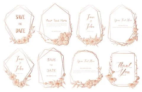 Set of geometric frame, Hand drawn flowers, Botanical composition, Decorative Stock Illustration
