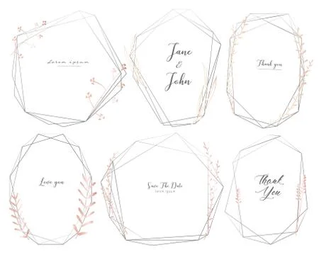 Set of geometric frame, Hand drawn flowers, Botanical composition, Decorative Illustrazione stock