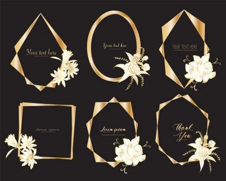 Set of geometric frame with hand drawn floral. Botanical composition.Decorati Stock Illustration