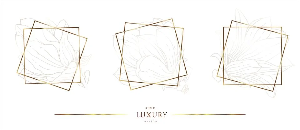 Set of geometric gold frames with buds. Shiny gold around the edges. Great de Stock Illustration
