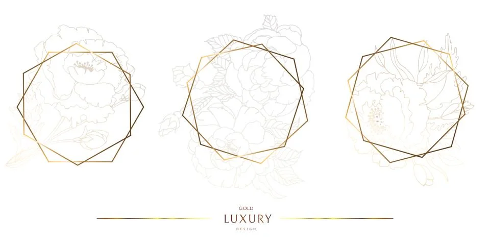Set of geometric gold frames with peony buds. Shiny gold around the edges. Great Stock Illustration