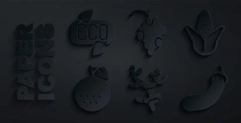 Set Ginger root, Corn, Orange fruit, Eggplant, Grape and Leaf Eco symbol ic.. Stock Illustration