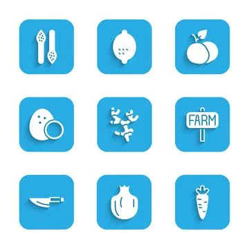 Set Ginger root, Pomegranate, Carrot, Location farm, Knife, Coconut, Mango fruit Stock Illustration