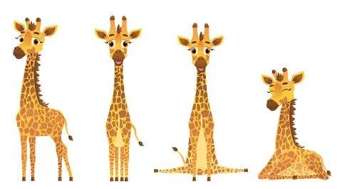 Set of giraffes in different poses, standing, sitting, sleeping. Vector illus Stock Illustration