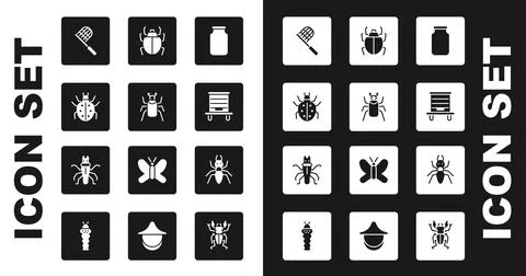 Set Glass jar, Beetle bug, Mite, Butterfly net, Hive for bees, Ant and Termite Illustration