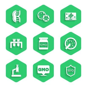 Set GMO, Shield for bio healthy food, Petri dish with bacteria, Microscope, Test Stock Illustration
