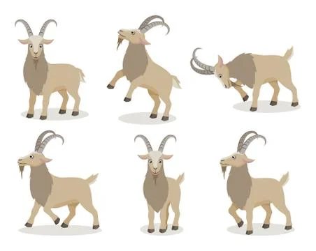 Set of goat in different poses in flat style Stock Illustration