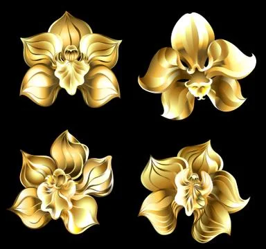 Set of gold orchids Stock Illustration