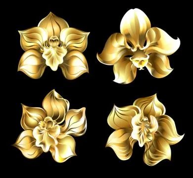 Set of gold orchids イラスト素材