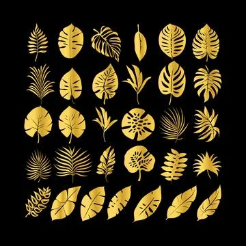 Set gold tropical leaf isolated. Vector illustration. Stock Illustration