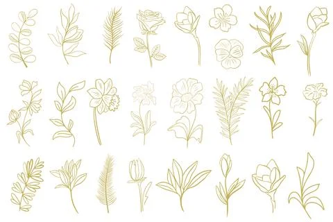 Set of golden botanical natural elements, vector illustration. Stock Illustration