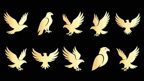 Set of golden eagle bird silhouettes for logo design. Stock Illustration