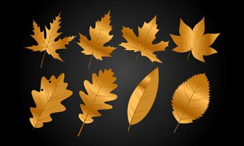 Set of golden leafs Stock Illustration