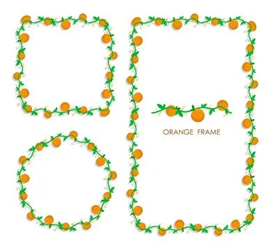Set of golden round and square frames with fruit and blossoming orange bran.. Illustrazione stock