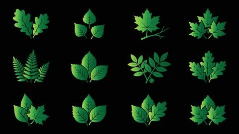 Set of gradient green tree leaves vector icons. Stock Illustration