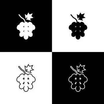 Set Grape fruit icon isolated on black and white background. Vector Ilustración de archivo