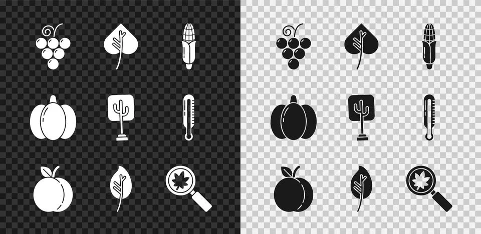 Set Grape fruit, Leaf or leaves, Corn, Peach, Magnifying glass with leaf Stock Illustration