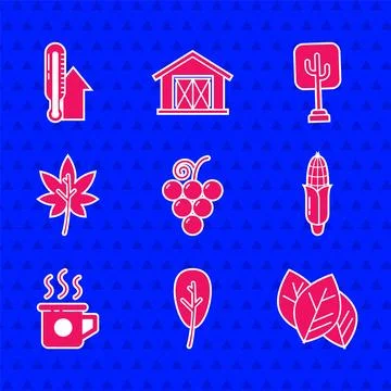 Set Grape fruit, Leaf or leaves, Corn, Cup of tea, Tree and Meteorology Stock Illustration