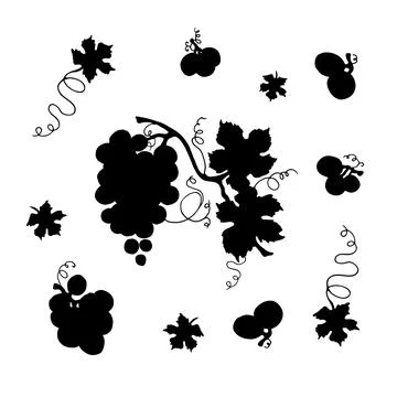 Set of grape silhouettes. On a white background. Grape design. Vector Stock Illustration