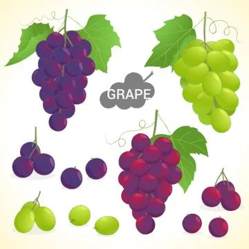 Set of grape in various styles vector format Stock Illustration