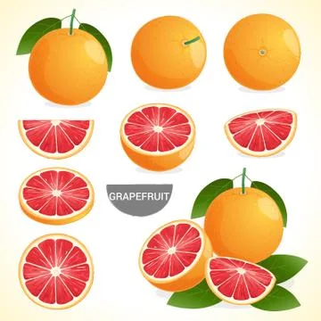 Set of grapefruit with leaf in various styles vector format Stock Illustration