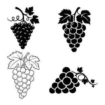 Set of grapes fruit bunches and leaves in various drawing styles vector Ilustración de archivo