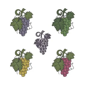 Set of grapes icon. Different colors and style. Flat, retro letterpress effect Illustrazione stock