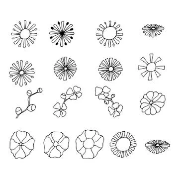 Set of graphic floral vector elements Stock Illustration
