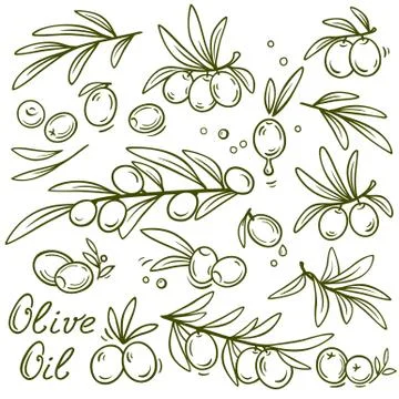 Set of graphic olive branches Stock Illustration