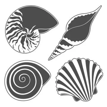 Set of graphic sea shells. Isolated objects. Stock Illustration